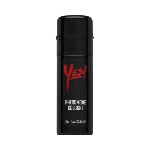 Yes! Pheromone Cologne Counter Display 12 Units