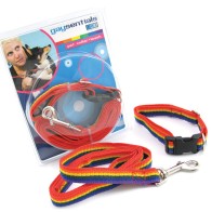 GS Pet Combo Leash/Collar Medium