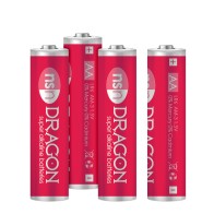 Dragon Alkaline AA Batteries - Long Lasting Power