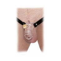 Pipedream Extreme Chastity Belt Locking Cock Cage