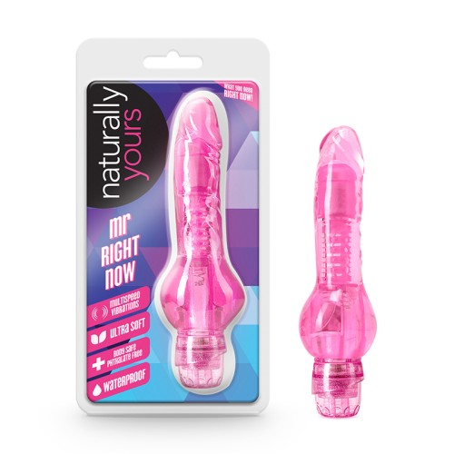 Naturally Yours Dildo Realista Mr. Right Now