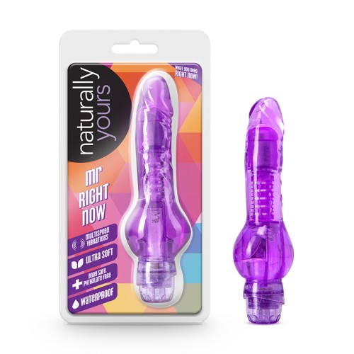 Naturally Yours Mr. Right Now Vibrating Dildo Purple