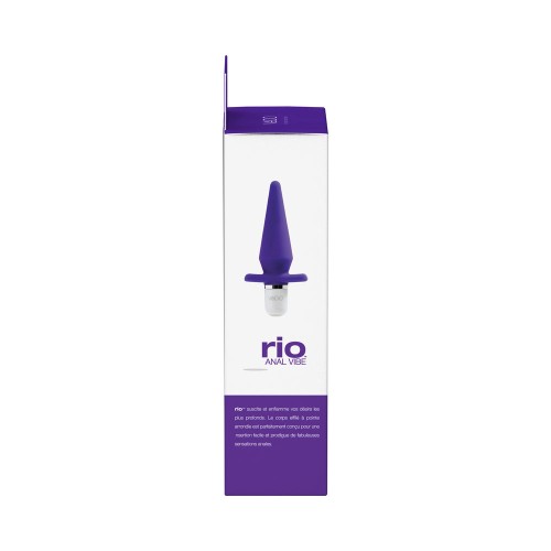 Vibrador Anal VeDO Rio Índigo