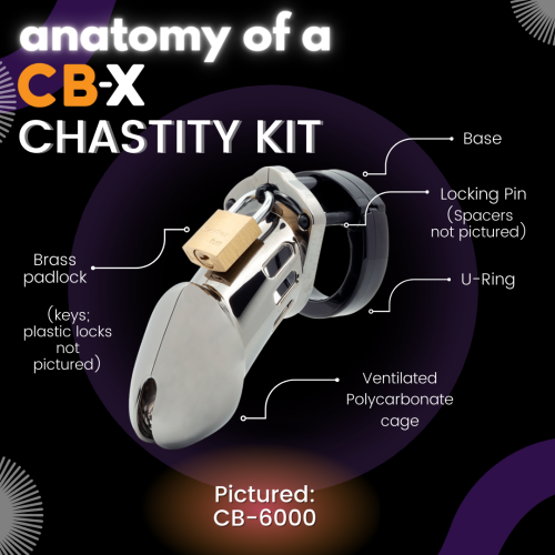 CB-6000S Clear Male Chastity Device for Ultimate Security