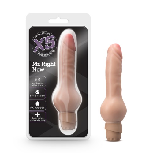 X5 Mr. Right Now Dildo Realista Vibrante para el Placer Supremo