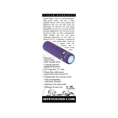 Vibrador Bullet Recargable Evolved Purple Passion