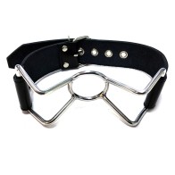 Rouge Spider Gag for BDSM Play