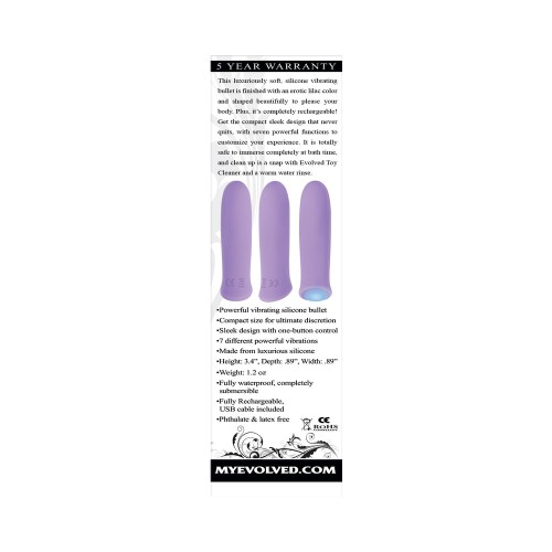 Vibrador Bullet Recargable Evolved Purple Haze