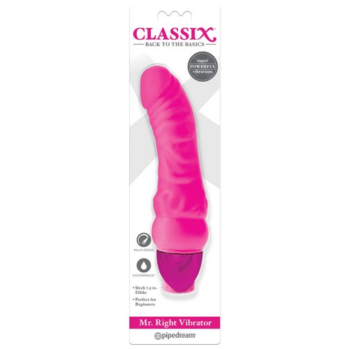 Pipedream Classix Mr. Right Vibrator