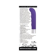 Vibrador de Punto G Recargable Evolved Spark Púrpura