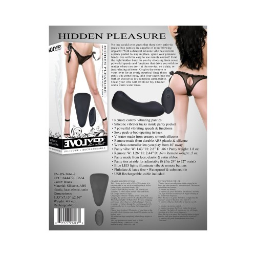 Evolved Hidden Pleasure Rechargeable Remote-Controlled Panty Vibrator Set