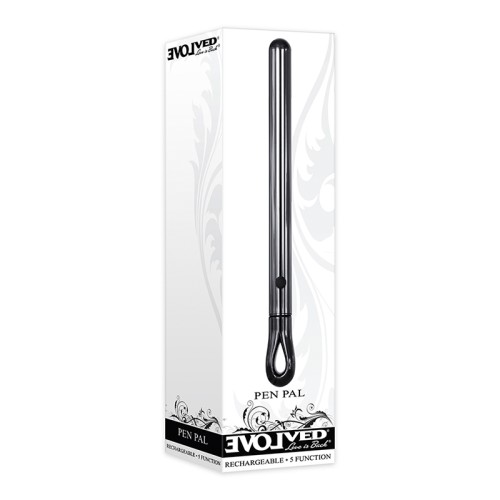 Vibrador de Metal Evolved Pen Pal Recargable