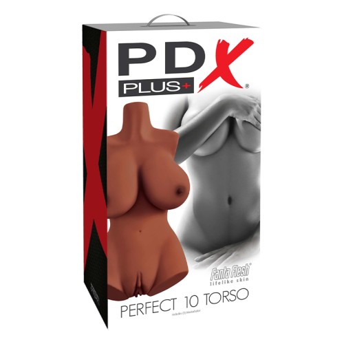 Masturbador Torso PDX Plus Perfect 10 para Placer Realista