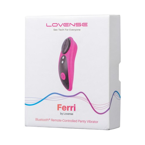 Lovense Ferri Bluetooth Vibrator