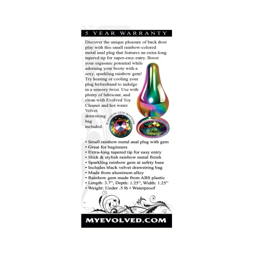 Evolved Rainbow Metal Anal Plug Small