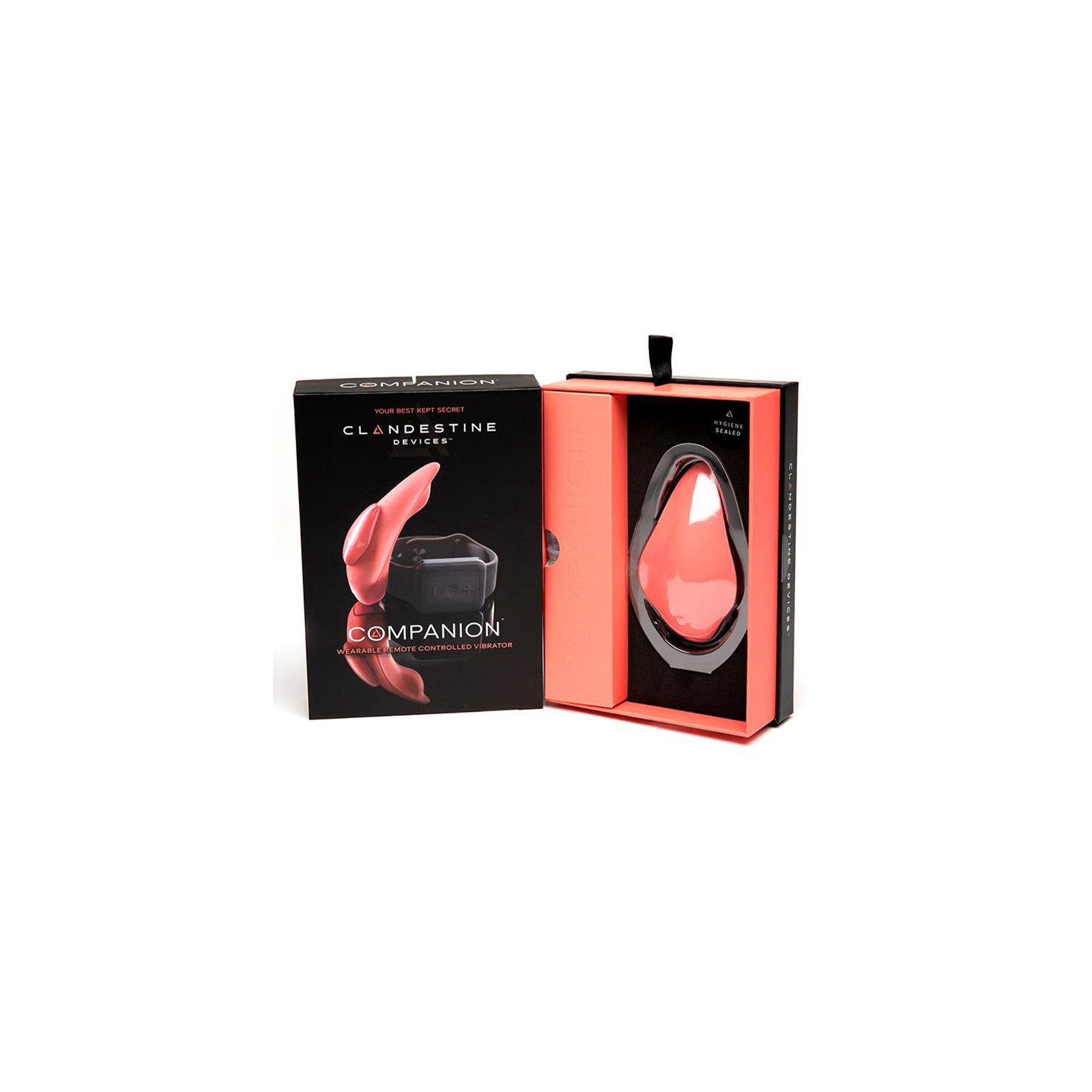 Vibrador de Panty Control Remoto The Companion