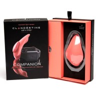 Vibrador de Panty Control Remoto The Companion