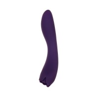 Vibrador de Doble Punta Evolved Thorny Rose Púrpura