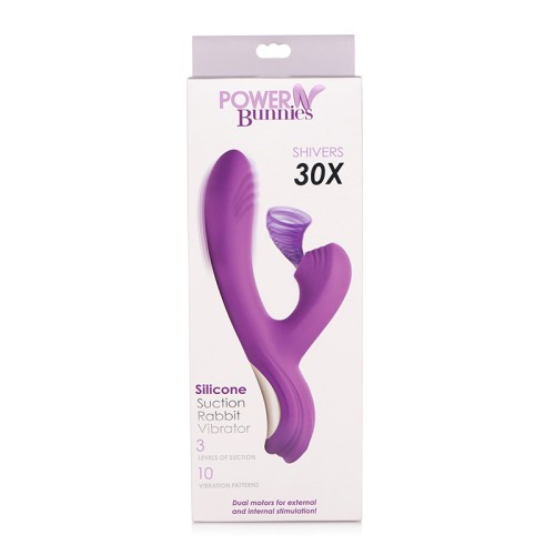 Curve Toys Power Bunny Shivers Rechargeable Silicone Vibrator Purple