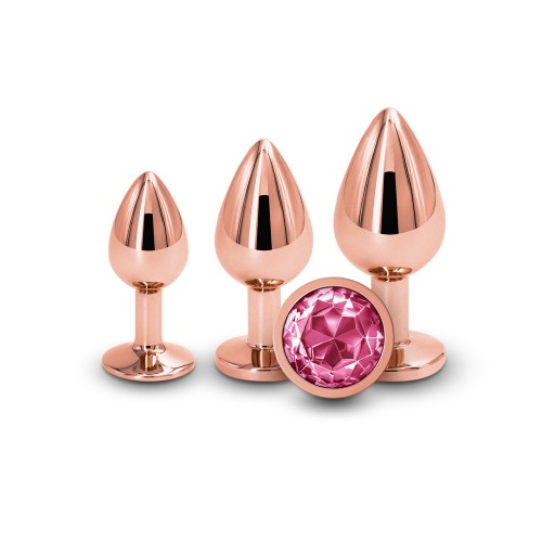 Rear Assets 3-Piece Rose Gold Metal Plug Kit