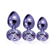 Nixie Purple Metallic Butt Plug Trainer Set | 3 Sizes