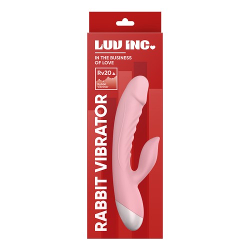 Vibrador Conejo Luv Inc RV20 - Placer de Estimulación Dual