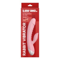 Vibrador Conejo Luv Inc RV20 - Placer de Estimulación Dual