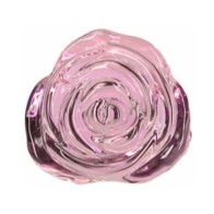 Plug Anal de Vidrio Rosy - Placer Elegante