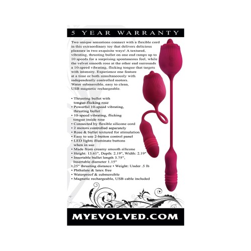 Huevo Vibro-Impulsor Doble Evolved Wild Rose Rojo