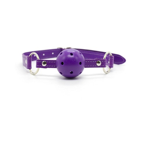 Kit de Bondage Todo en Uno de 12 Piezas - Morado