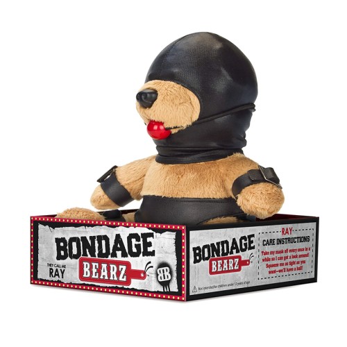 Bear de Bondage Gary con Bola para Gag