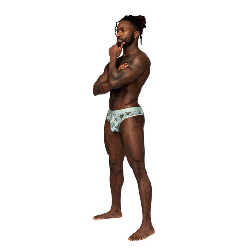 Male Power Sheer Flamingo Thong