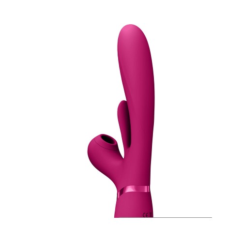 VIVE ENA Vibrador de G-Spot Recargable