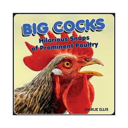 Big Cocks: Divertidas Fotos de Aves