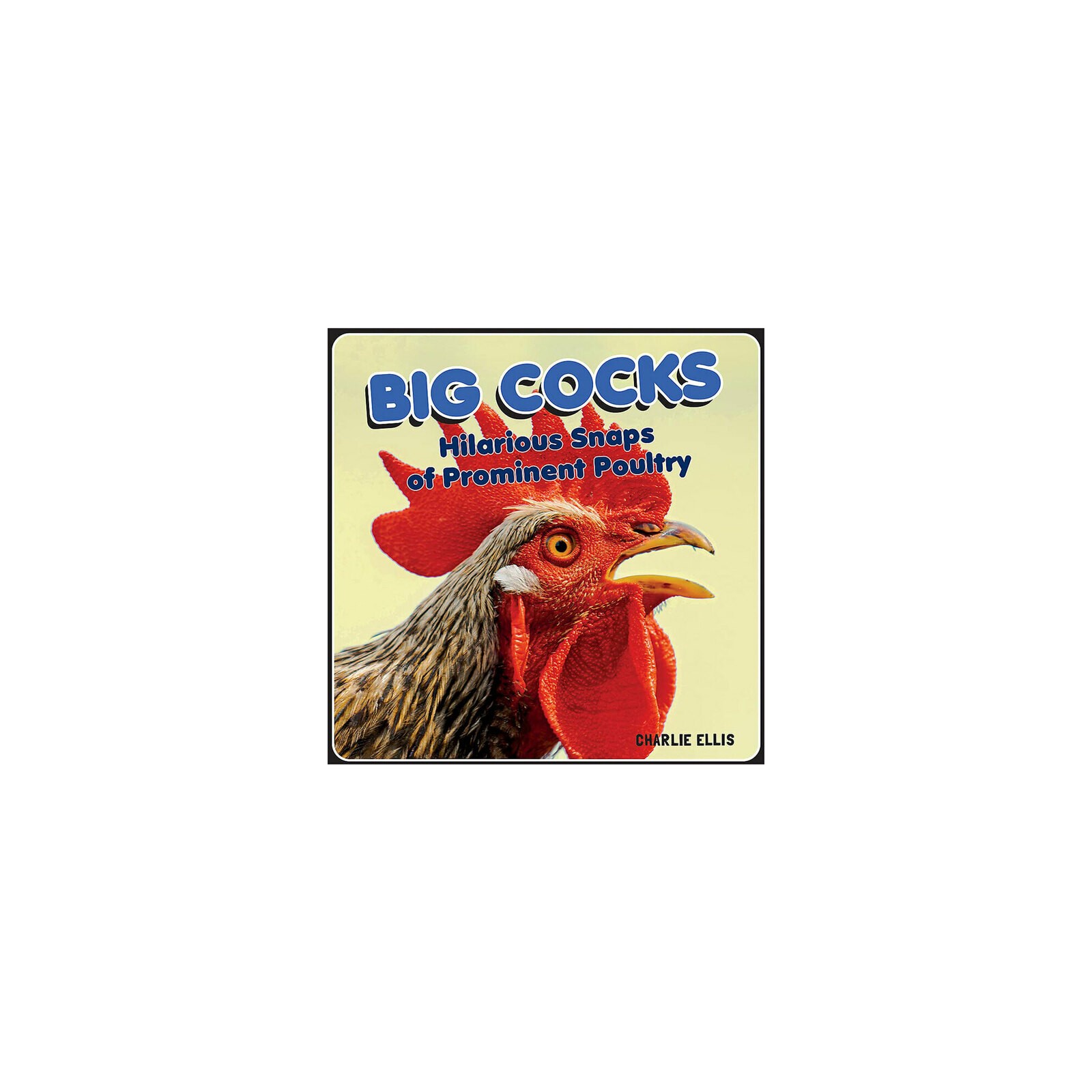 Big Cocks: Divertidas Fotos de Aves