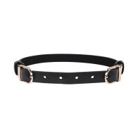 Sex & Mischief Double Buckle Day Collar