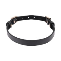 Sex & Mischief Double Buckle Day Collar