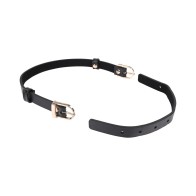 Sex & Mischief Double Buckle Day Collar