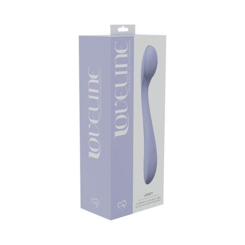 Juicy 10 Speed Lavender Vibrator for Ultimate Pleasure