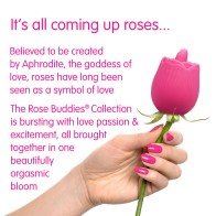 Skins Rose Buddies - The Rose Flix