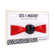 Sportsheets Sex & Mischief Satin Ball Gag for Couples