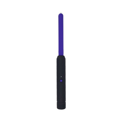 Electroplay Wand for Sensory Thrills