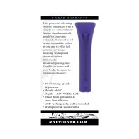 Rechargeable Full Coverage Bullet Vibe Purple