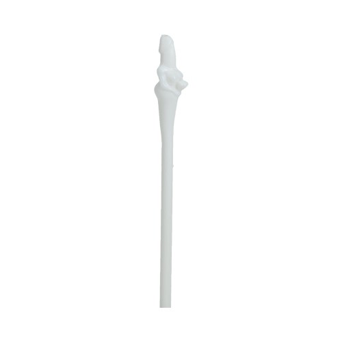 The Dickheads Bride Straws - Fun Party Supplies