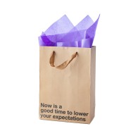 Snarky Gift Bags Lower Your Expectations 3pk