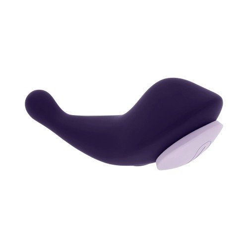 Vibrador de Panties Control Remoto Evolved para Diversión Discreta