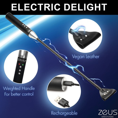 Zeus Electrosex E-Stim Crop - Dual Sensation Impact Play