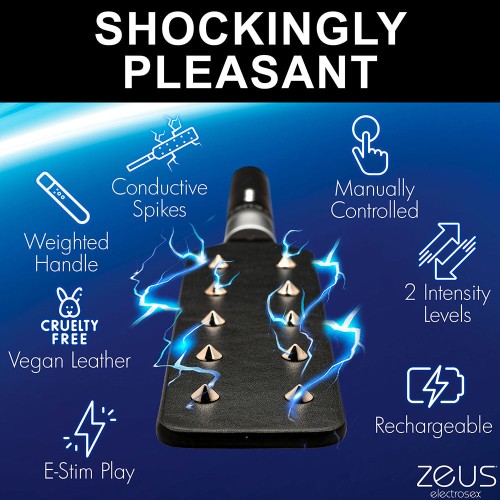 Zeus E-Stim Spiked Paddle