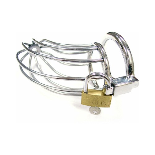 Rouge Stainless Steel Chastity Cock Cage with Lock