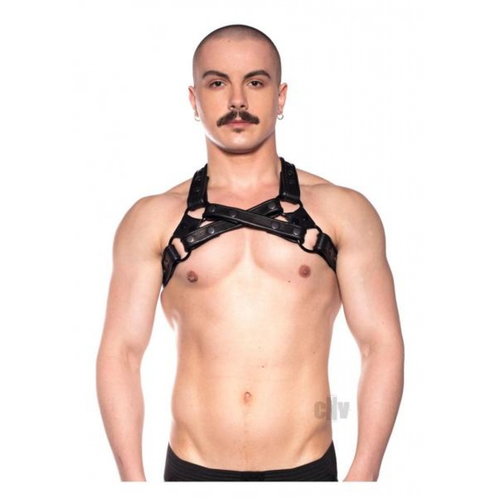 Prowler Red Cross Harness Blk S/m - Abs Holdings